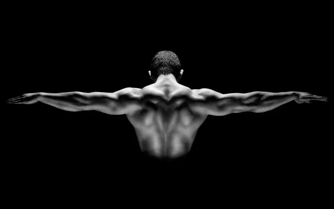 The Power of Testosterone - HygieneLab