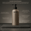 Men’s Hydrating Shampoo – Clean, Non-Toxic Hair Formula – HygieneLab