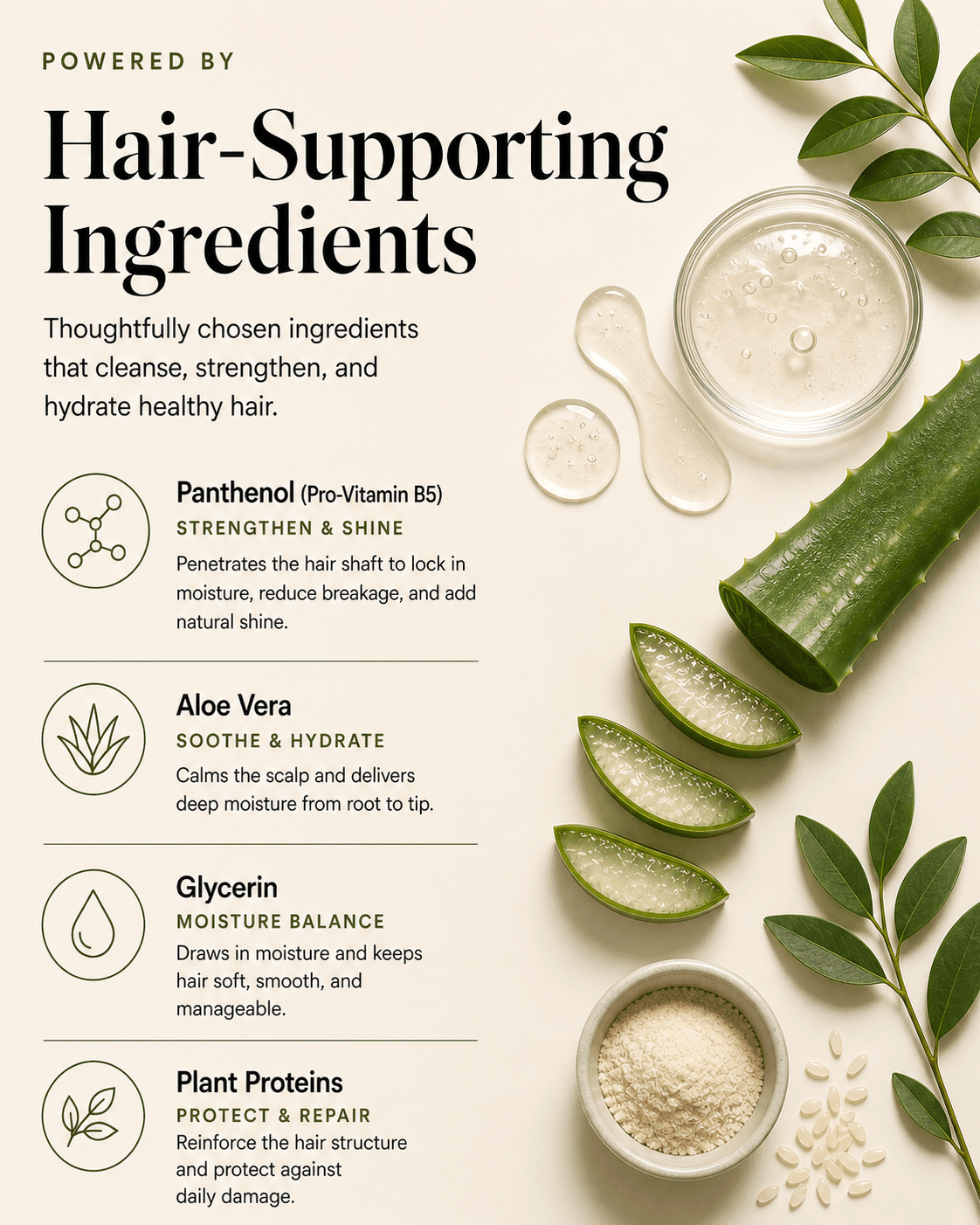 Shampoo - HygieneLab